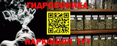 круглые Кингисепп