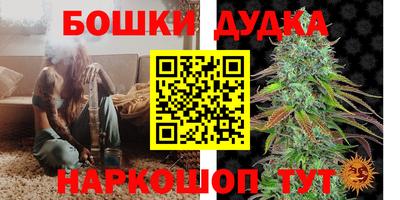 круглые Кингисепп
