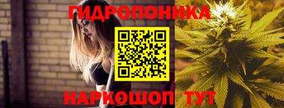 круглые Кингисепп