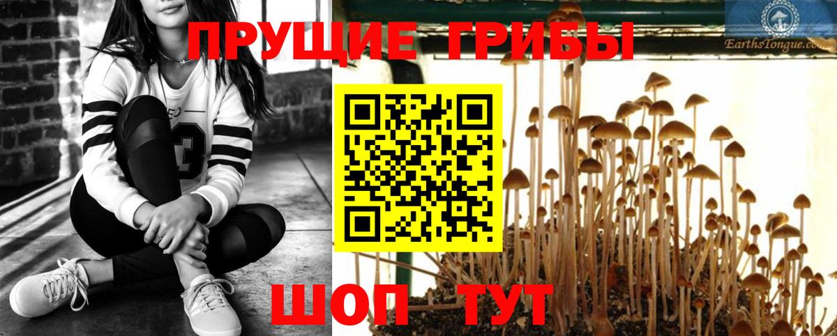 Феодосия  Псилоцибиновые грибы мухоморы  Вход с VPN 
